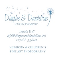 Dimples and Dandelions Photography 1069392 Image 7